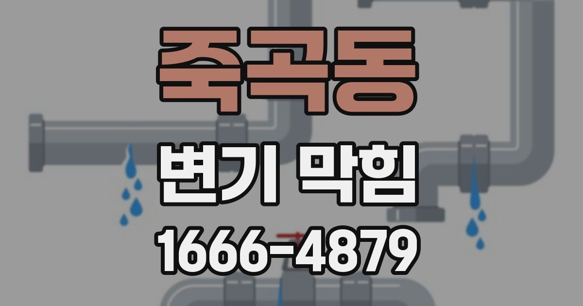 죽곡동 변기 막힘