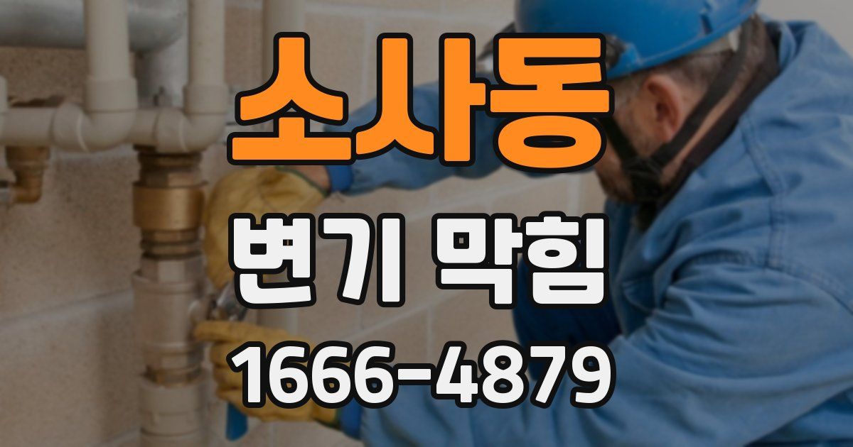 소사동 변기 막힘