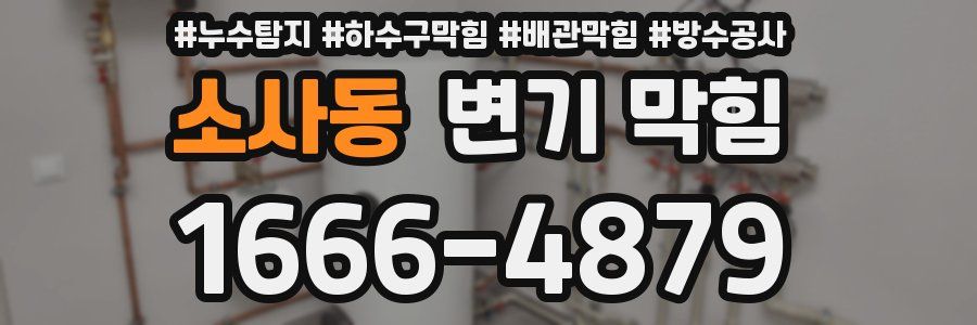 소사동 변기 막힘