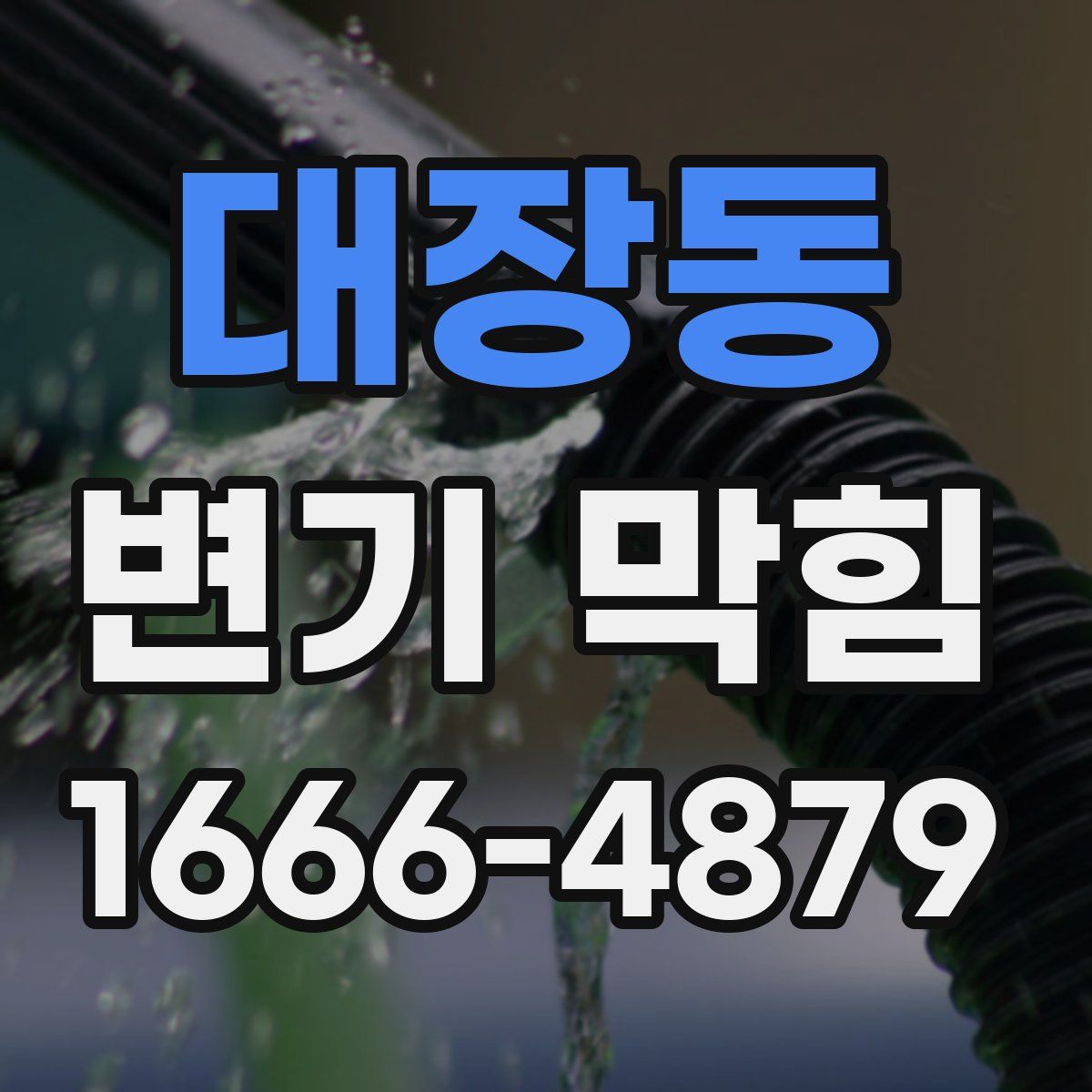 대장동 변기 막힘