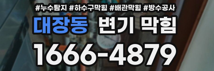 대장동 변기 막힘