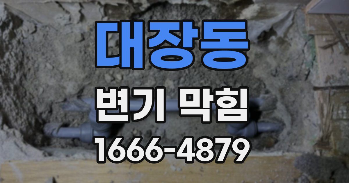 대장동 변기 막힘