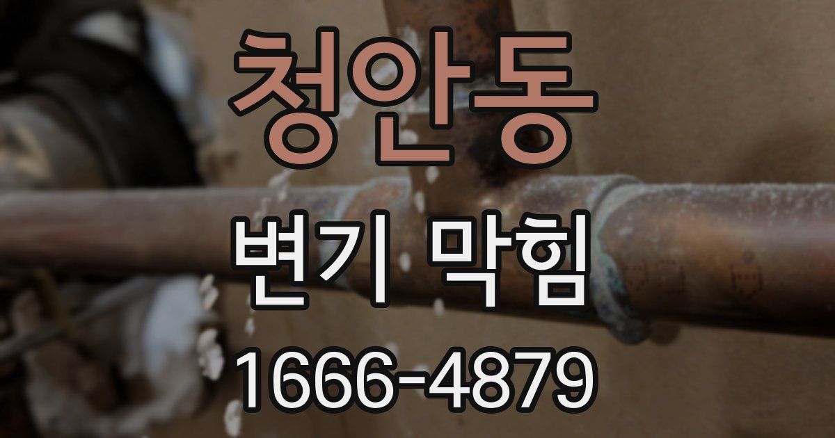 청안동 변기 막힘