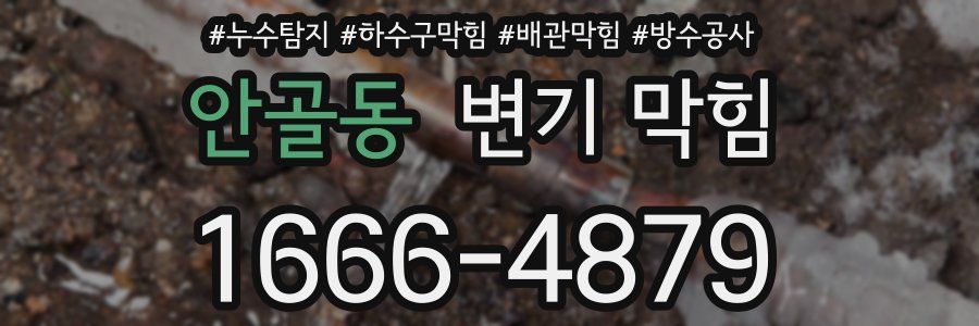 안골동 변기 막힘