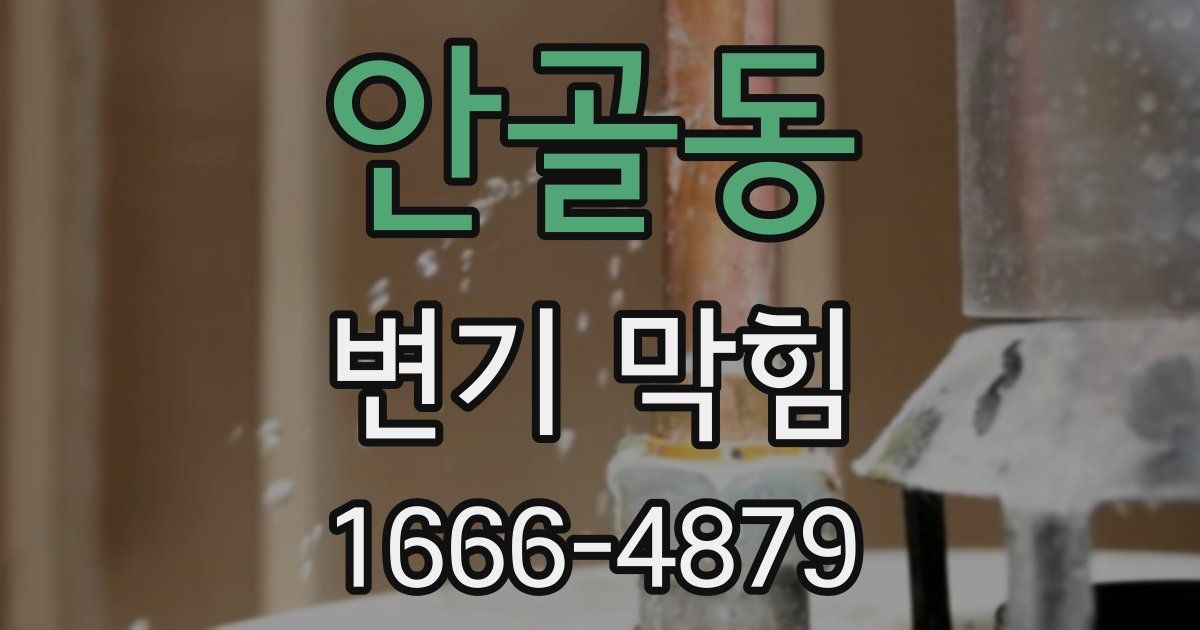 안골동 변기 막힘