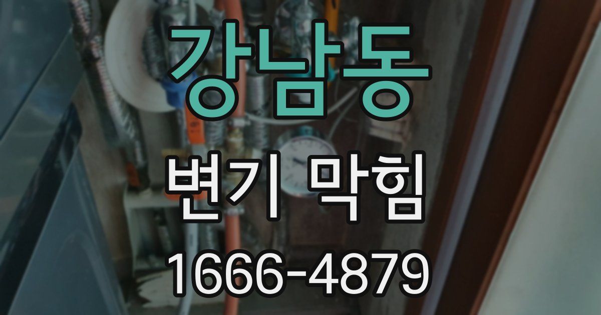 강남동 변기 막힘