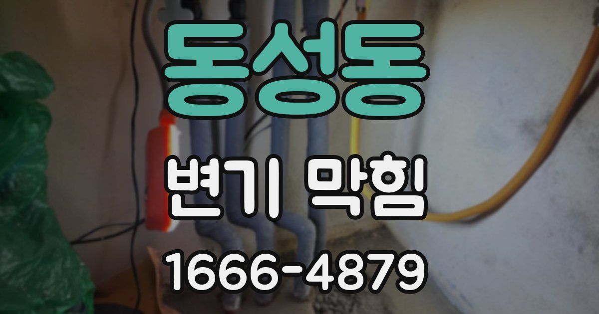 동성동 변기 막힘