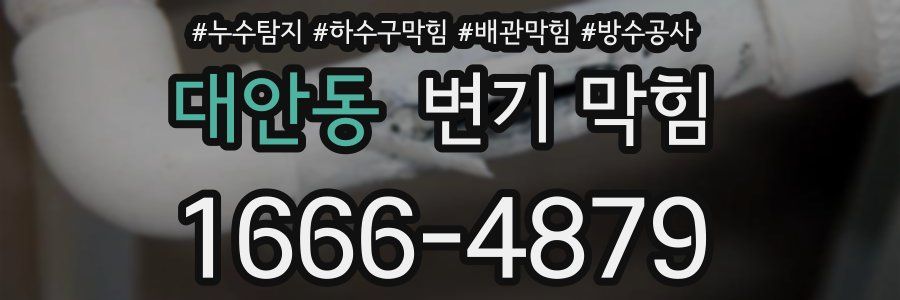 대안동 변기 막힘