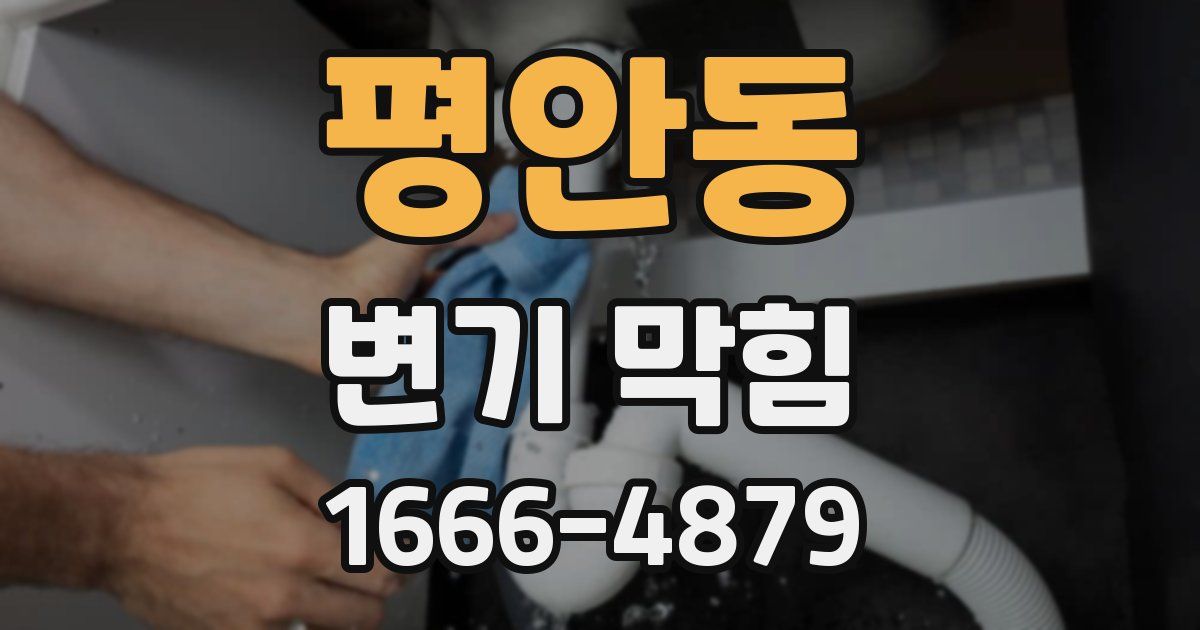 평안동 변기 막힘
