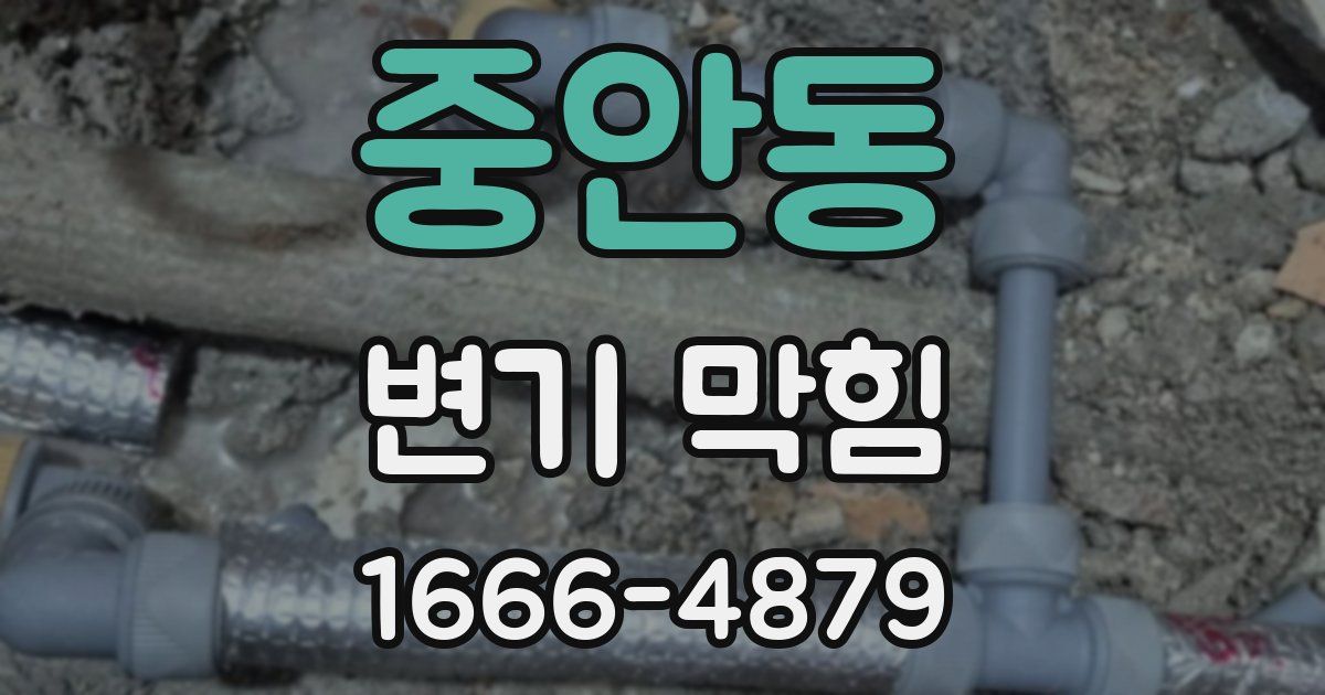 중안동 변기 막힘