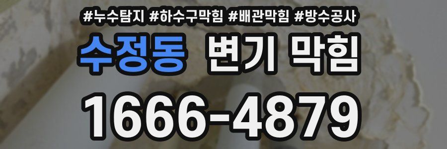 수정동 변기 막힘