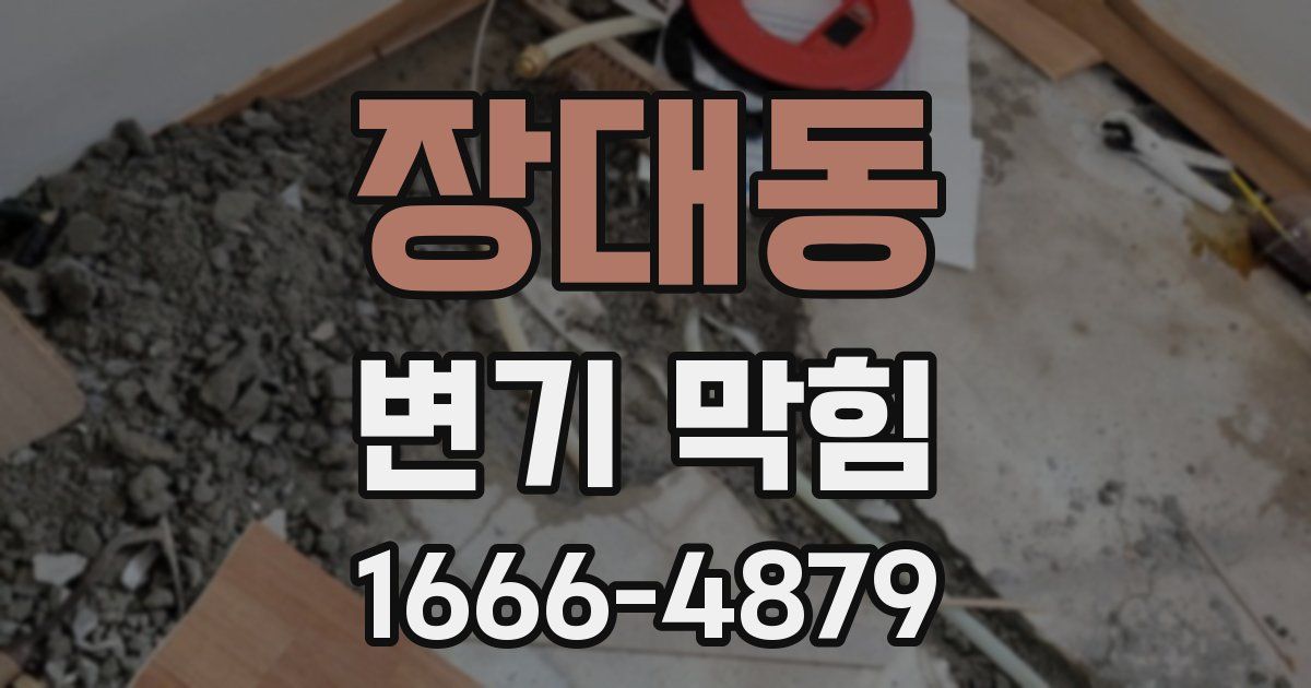 장대동 변기 막힘
