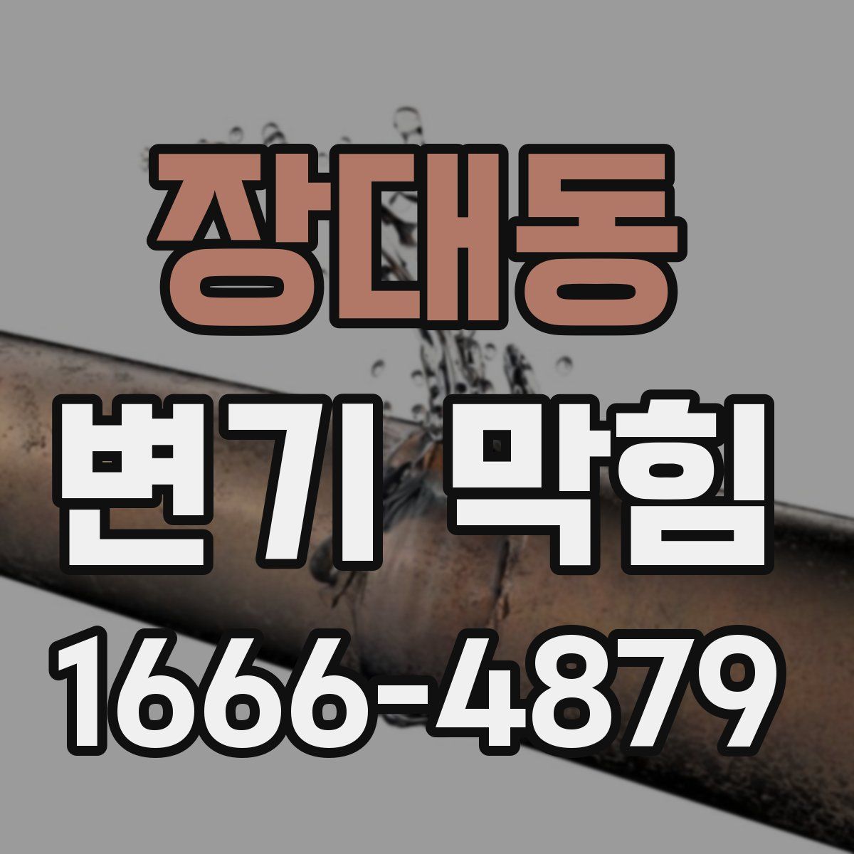 장대동 변기 막힘