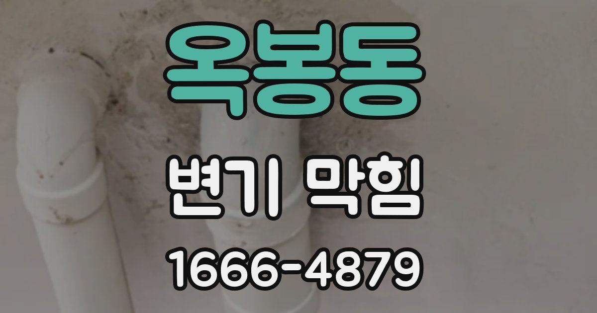 옥봉동 변기 막힘