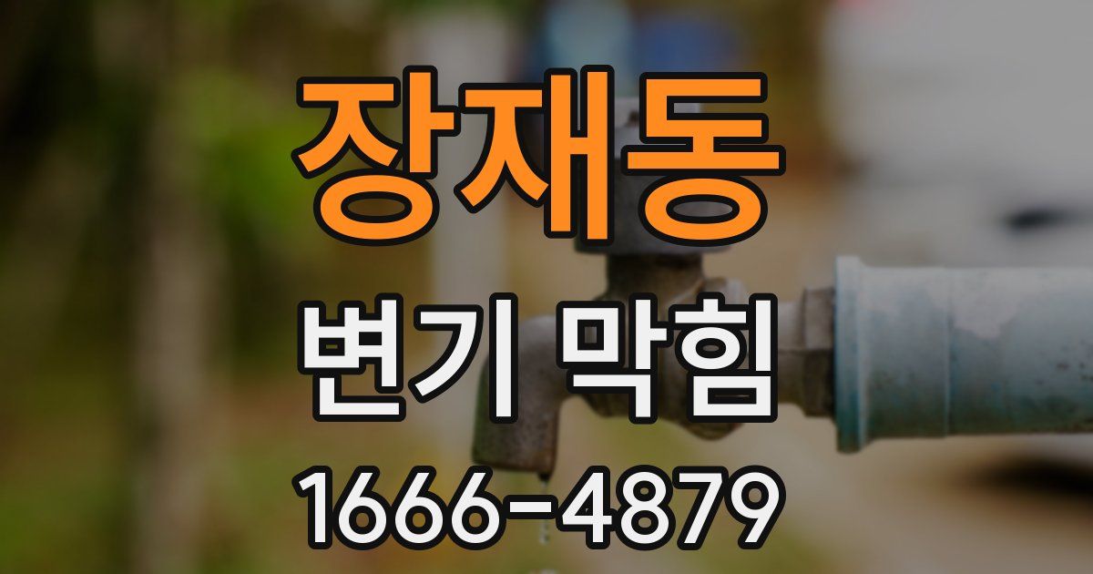 장재동 변기 막힘