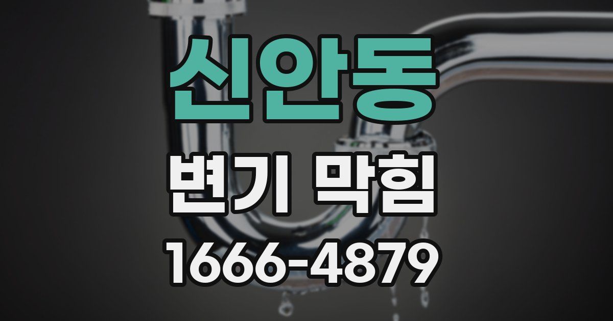 신안동 변기 막힘