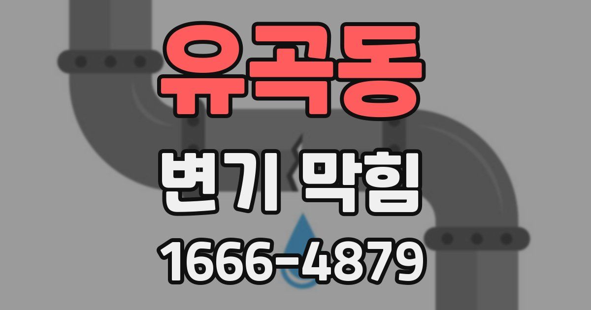 유곡동 변기 막힘