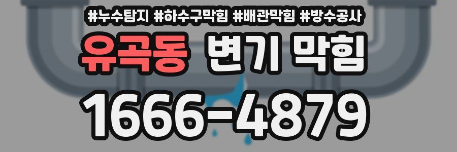 유곡동 변기 막힘
