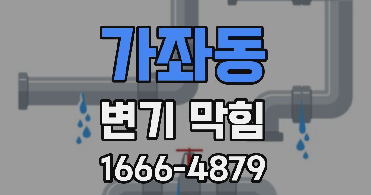 가좌동 변기 막힘