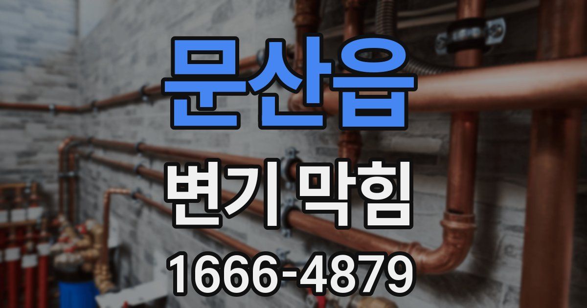 문산읍 변기 막힘