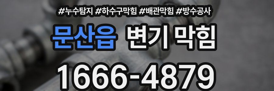 문산읍 변기 막힘