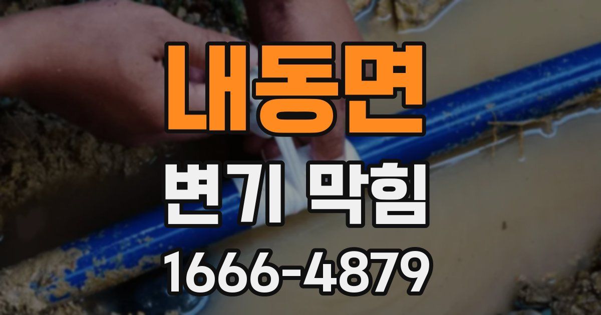 내동면 변기 막힘