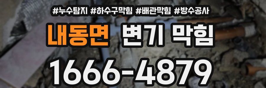 내동면 변기 막힘