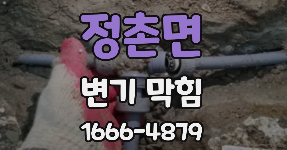 정촌면 변기 막힘