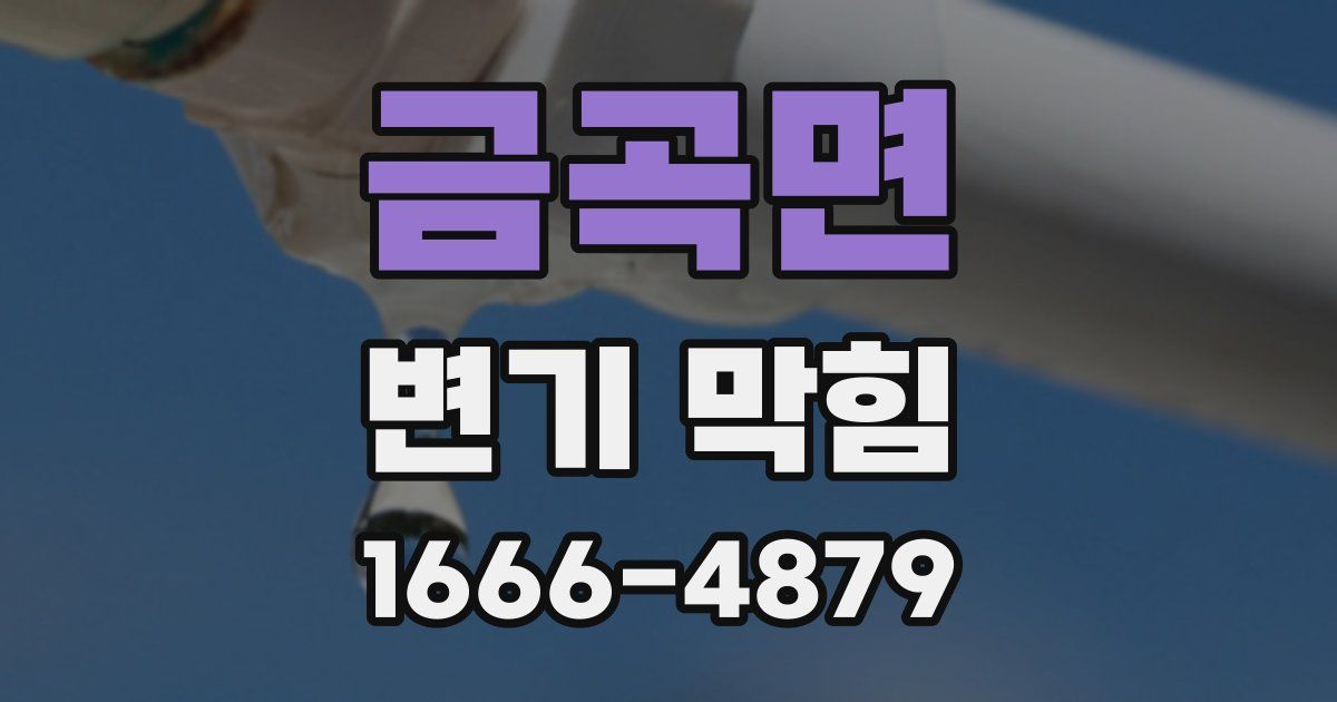 금곡면 변기 막힘