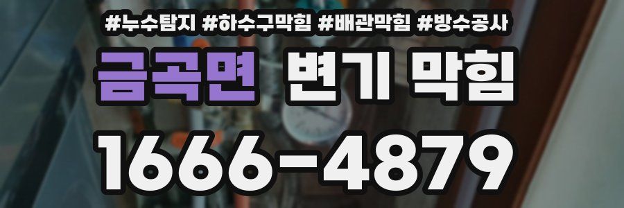 금곡면 변기 막힘