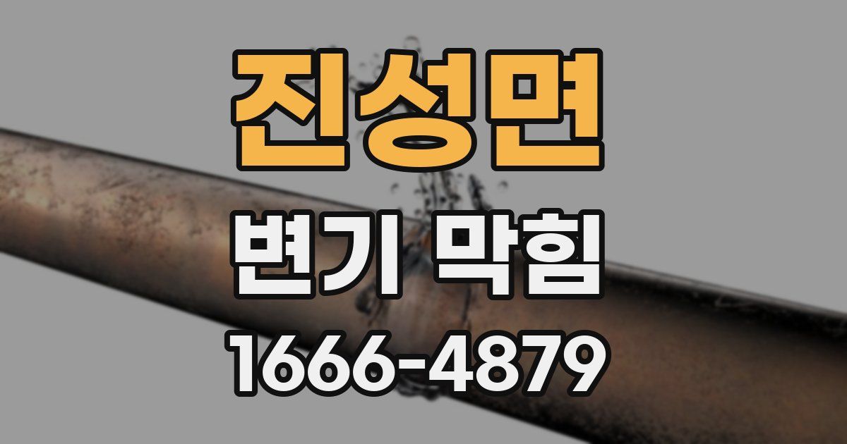 진성면 변기 막힘