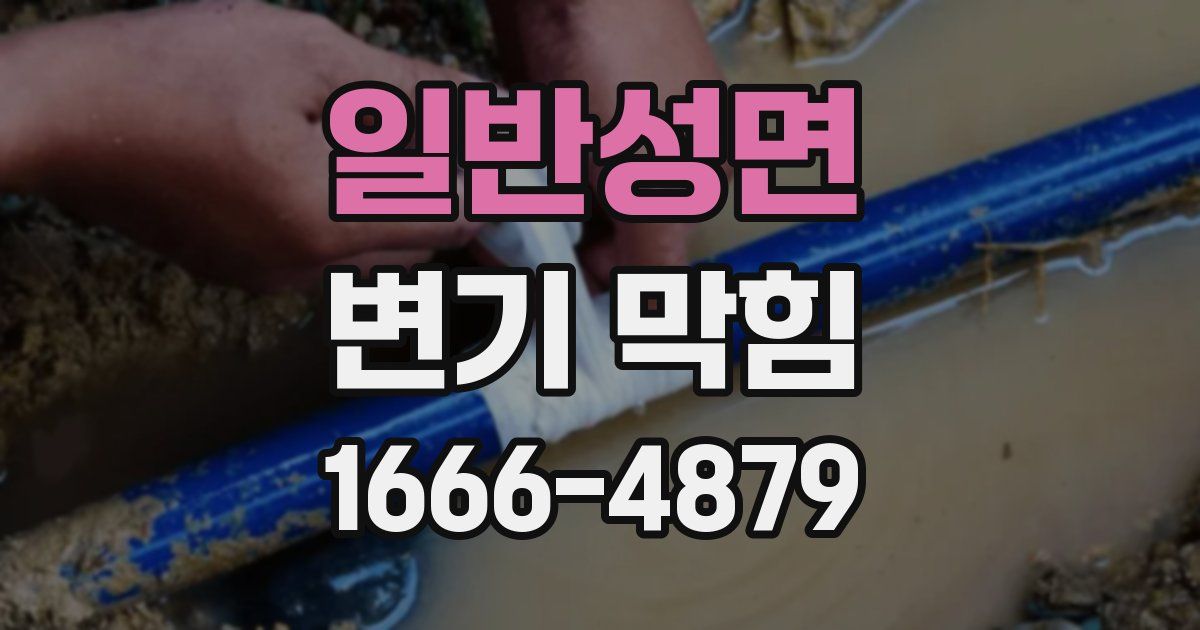 일반성면 변기 막힘