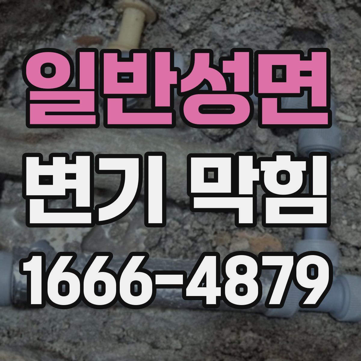 일반성면 변기 막힘