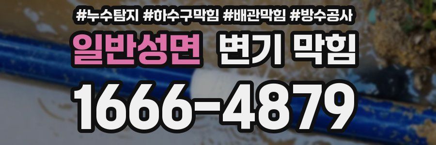 일반성면 변기 막힘