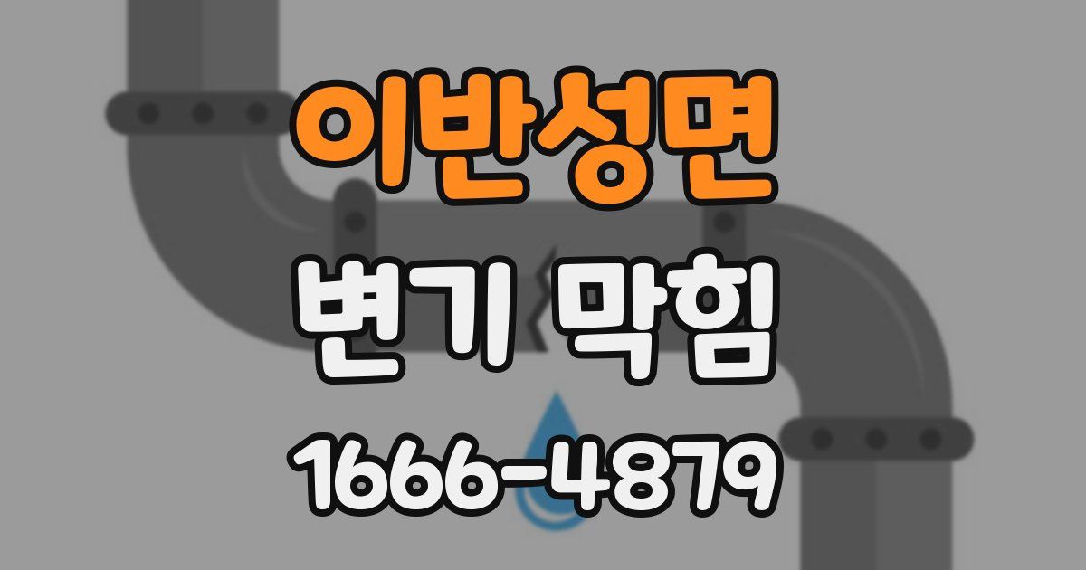이반성면 변기 막힘