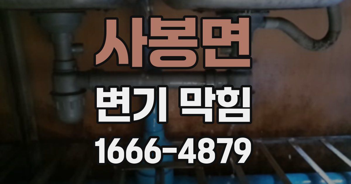 사봉면 변기 막힘