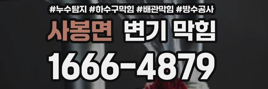 사봉면 변기 막힘