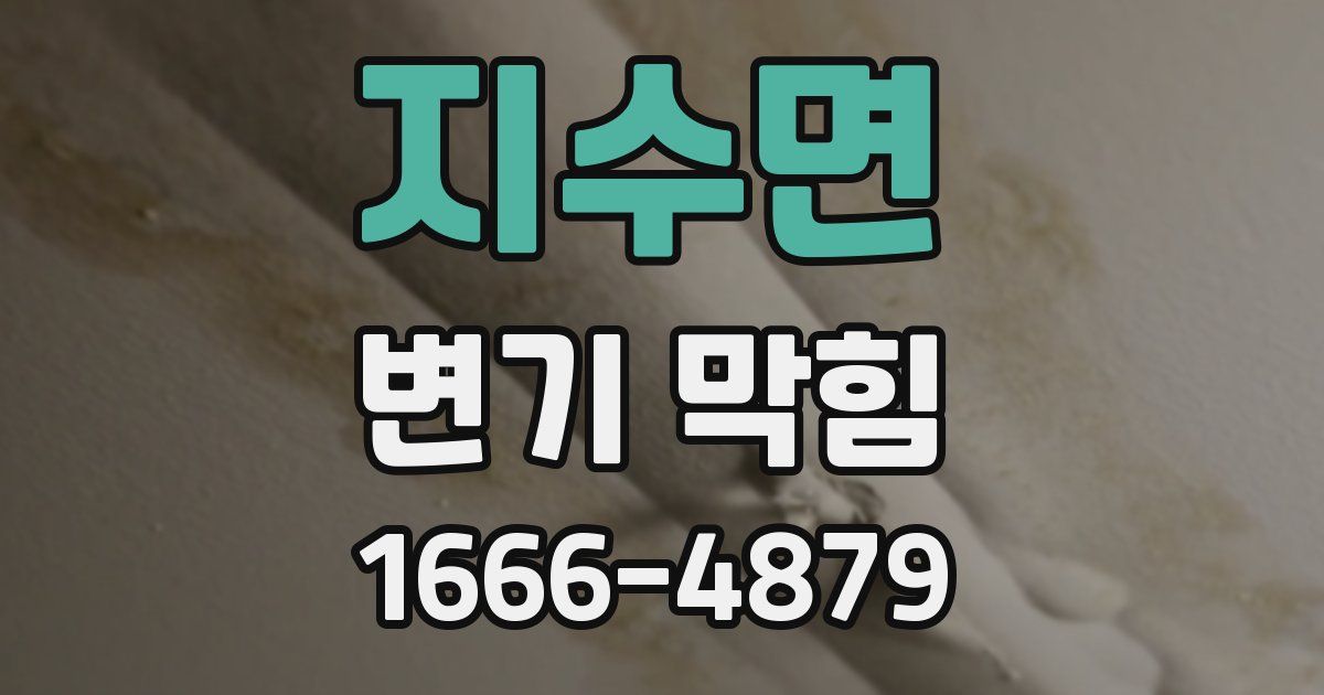 지수면 변기 막힘
