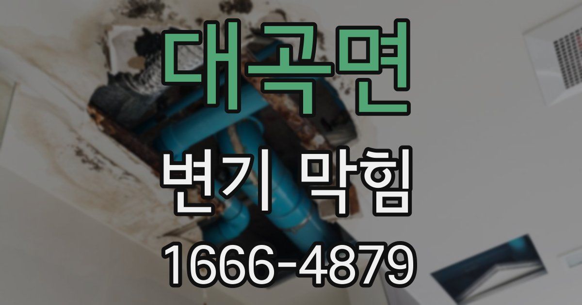 대곡면 변기 막힘