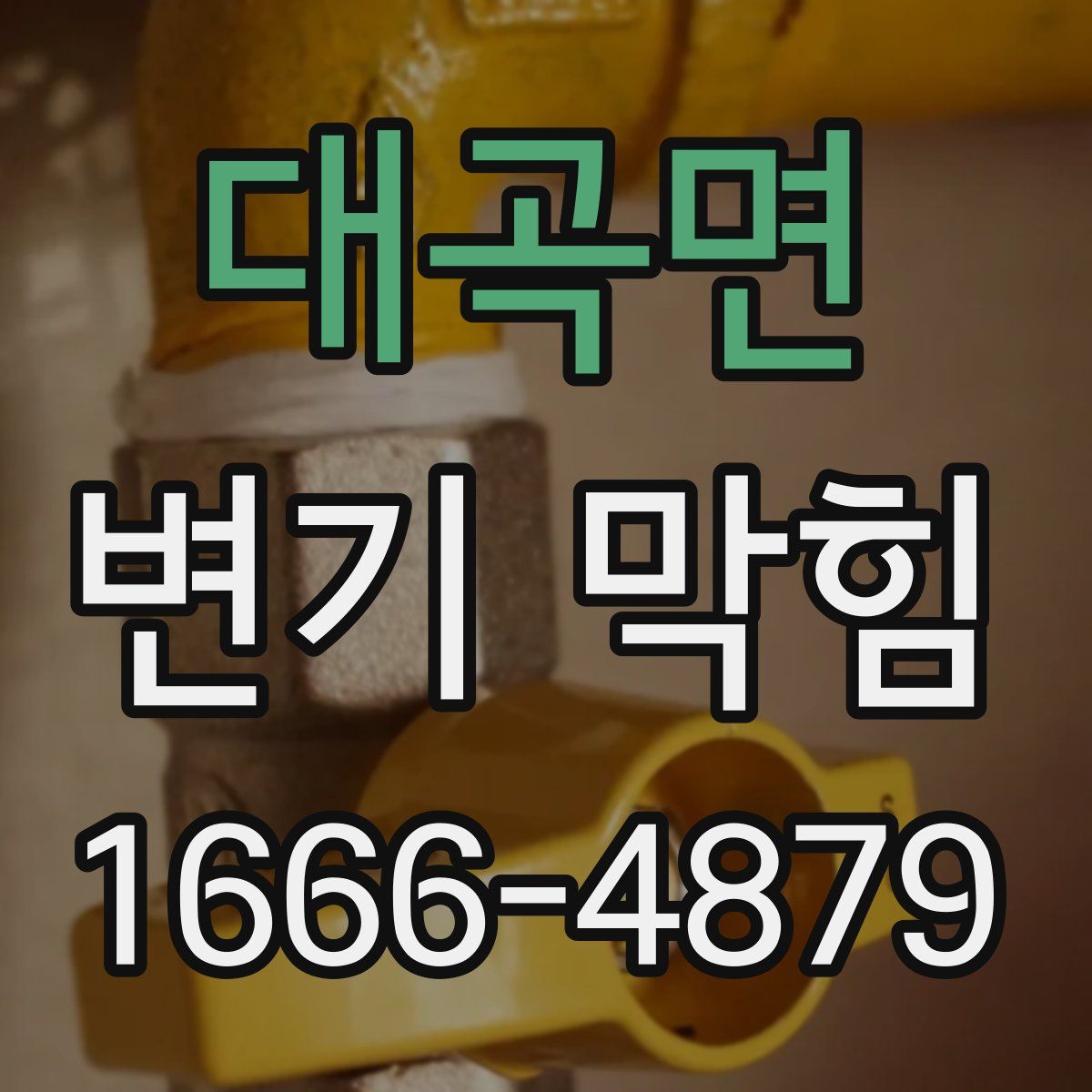 대곡면 변기 막힘