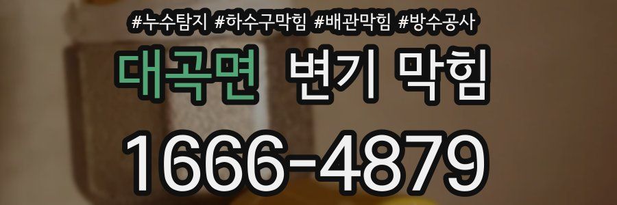 대곡면 변기 막힘