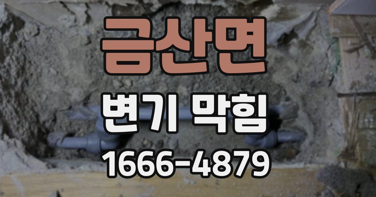 금산면 변기 막힘