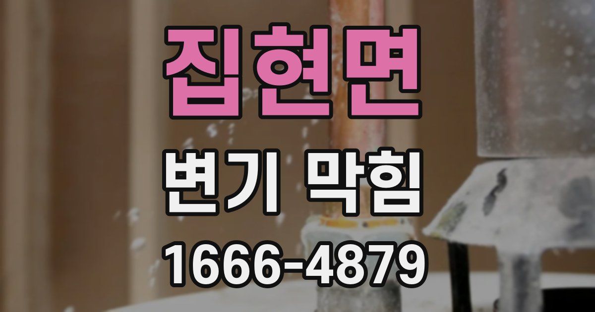 집현면 변기 막힘