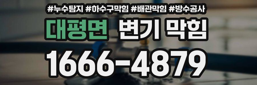 대평면 변기 막힘