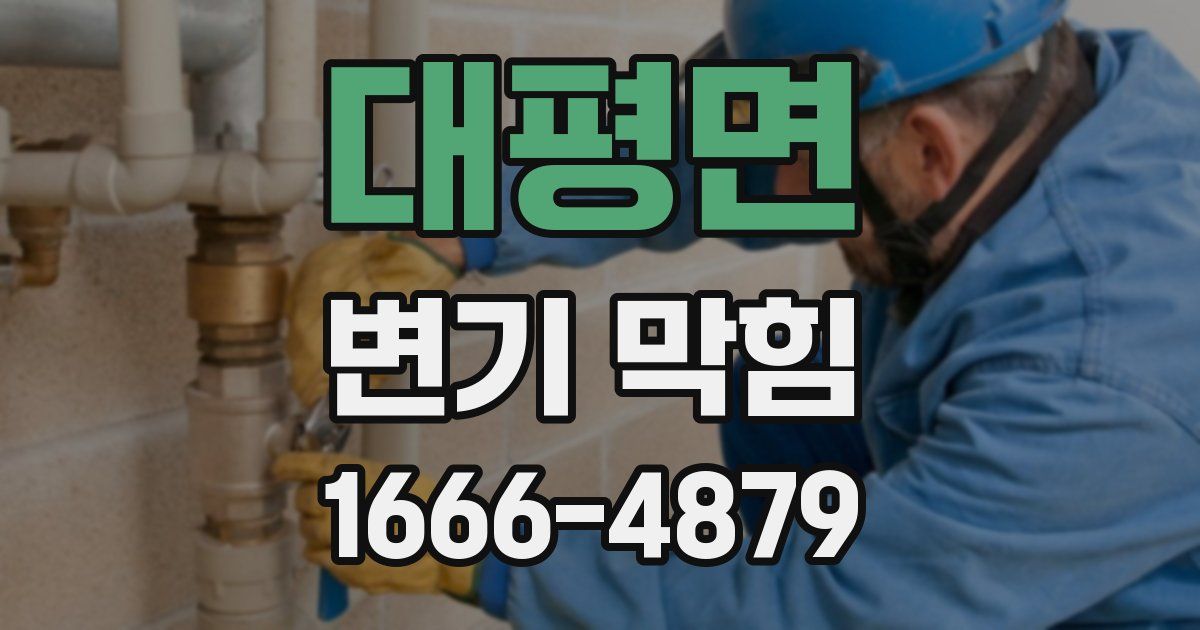 대평면 변기 막힘