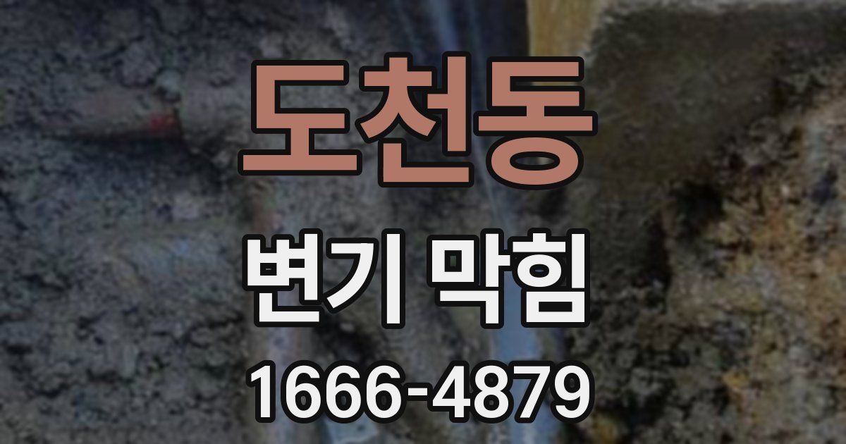 도천동 변기 막힘