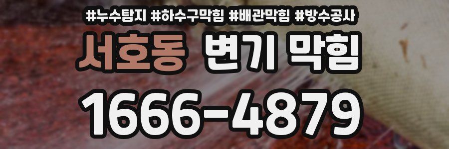 서호동 변기 막힘