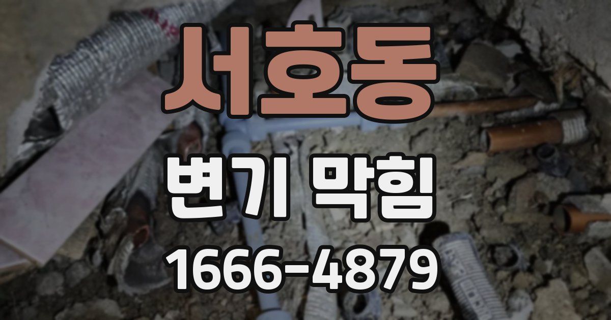 서호동 변기 막힘