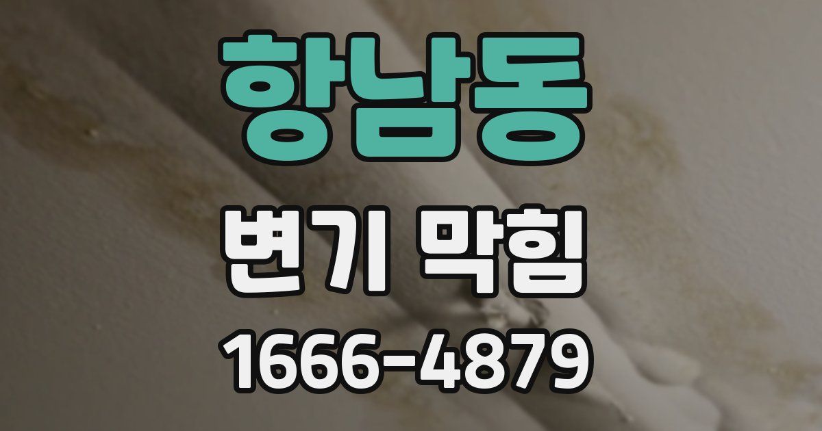 항남동 변기 막힘