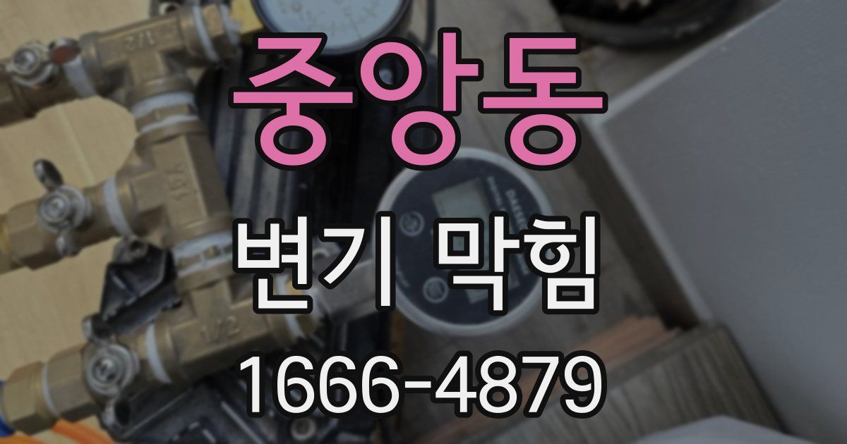 중앙동 변기 막힘